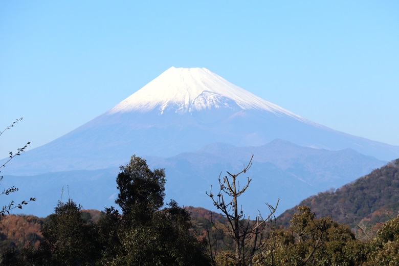 旅の思い出　その68　彼岸花巡り